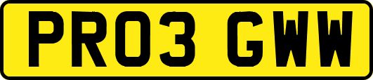 PR03GWW
