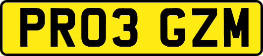 PR03GZM