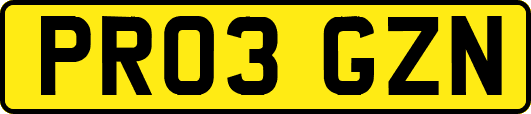 PR03GZN