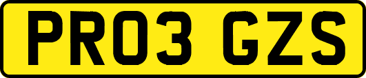 PR03GZS