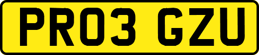 PR03GZU