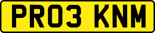 PR03KNM