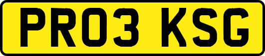 PR03KSG