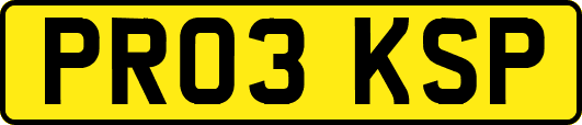 PR03KSP