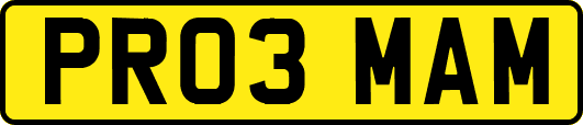 PR03MAM