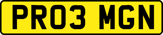 PR03MGN