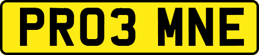 PR03MNE