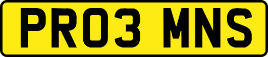 PR03MNS