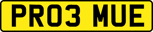 PR03MUE