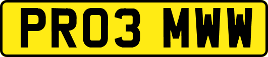 PR03MWW