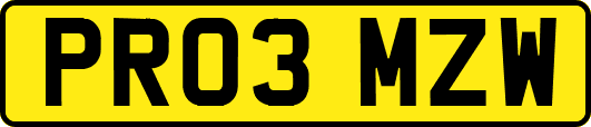 PR03MZW