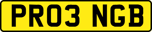 PR03NGB