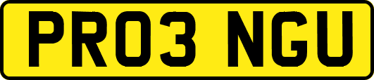 PR03NGU