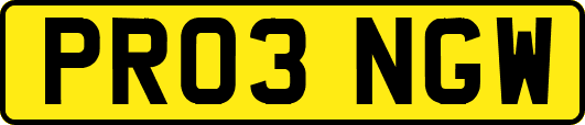 PR03NGW