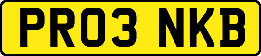 PR03NKB