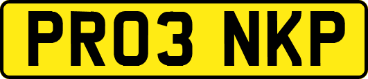 PR03NKP