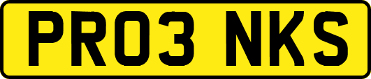 PR03NKS