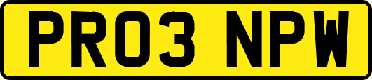 PR03NPW