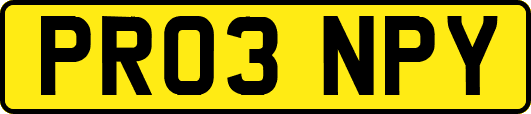 PR03NPY
