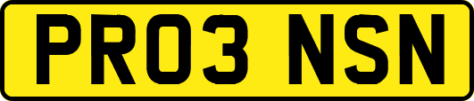 PR03NSN