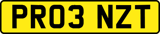 PR03NZT
