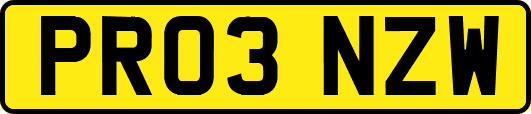 PR03NZW