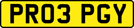 PR03PGY