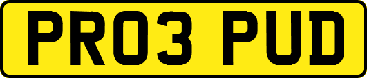 PR03PUD