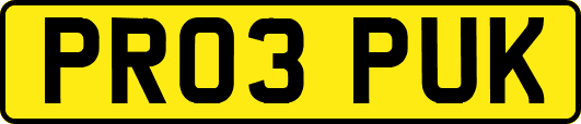 PR03PUK