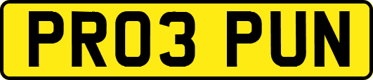PR03PUN