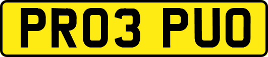 PR03PUO