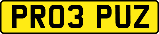 PR03PUZ