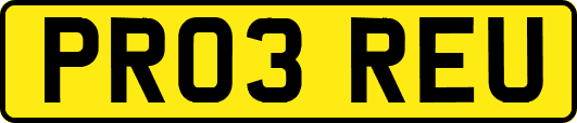 PR03REU