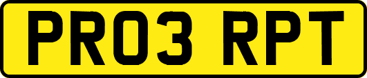 PR03RPT