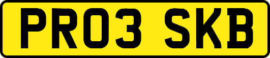 PR03SKB