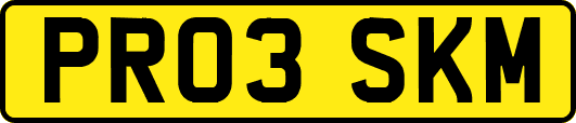 PR03SKM