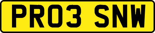 PR03SNW