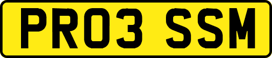 PR03SSM