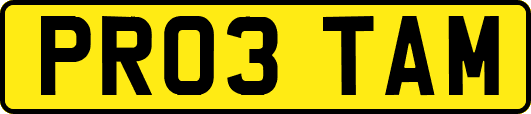 PR03TAM