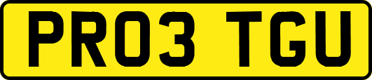 PR03TGU