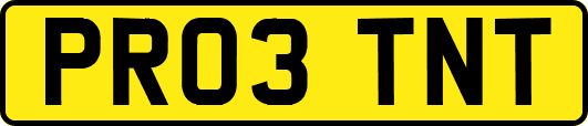 PR03TNT