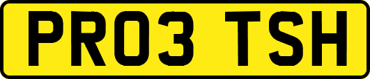 PR03TSH