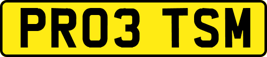 PR03TSM