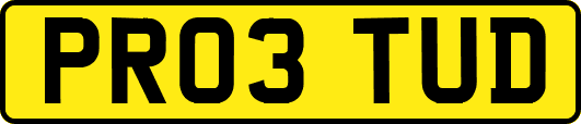 PR03TUD