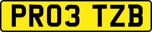 PR03TZB