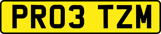 PR03TZM