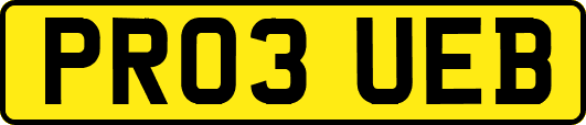 PR03UEB