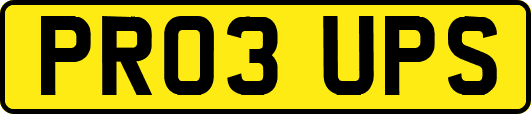 PR03UPS