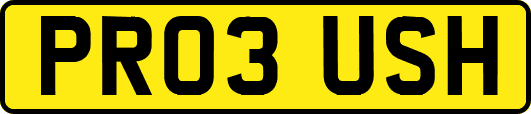PR03USH
