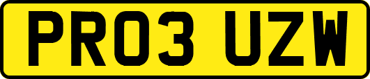 PR03UZW
